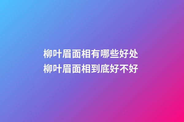 柳叶眉面相有哪些好处 柳叶眉面相到底好不好